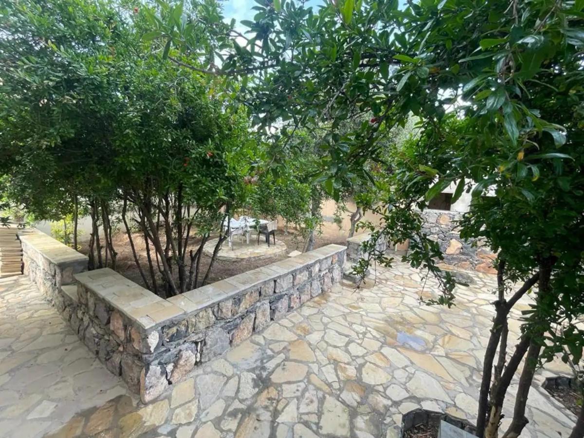 Rose Guesthouse Al 'Aqar ภายนอก รูปภาพ